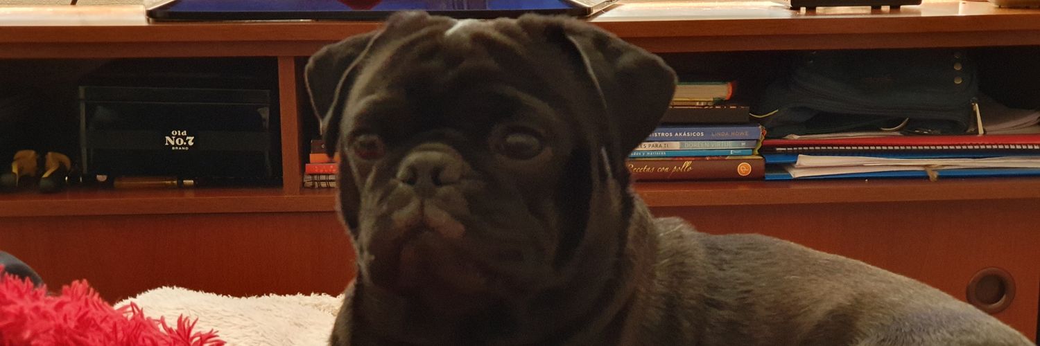 PalitaPug's profile banner image