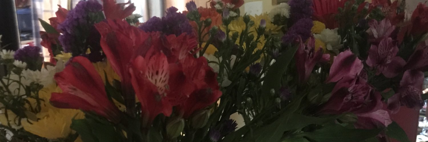 Debbie Vallarelli banner