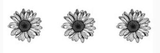 tshk1111's profile banner image