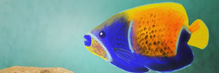 lvmoerkerken's profile banner image