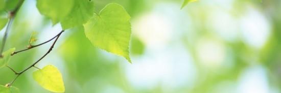 alsemffp7's profile banner image
