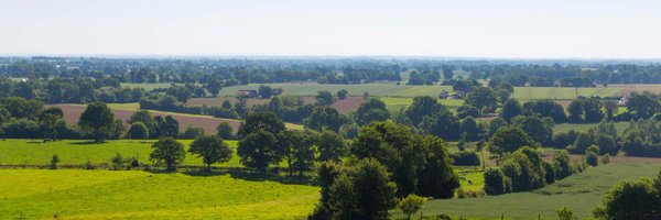 jechtom Profile Banner