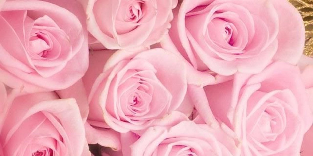 danielacb96's profile banner image