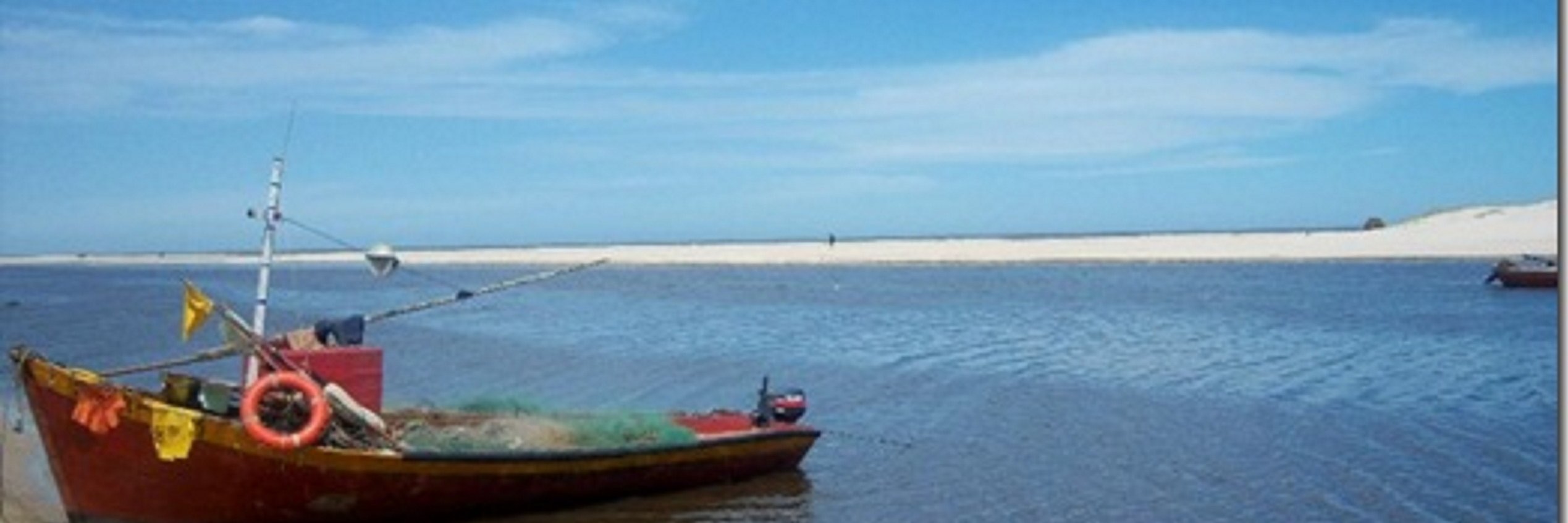 marindense's profile banner image