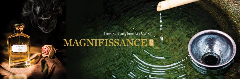 magnifissance banner
