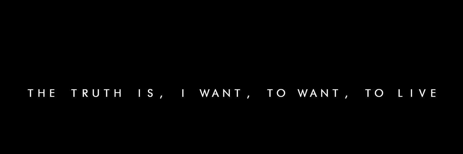 ellie ⊬🦩 banner