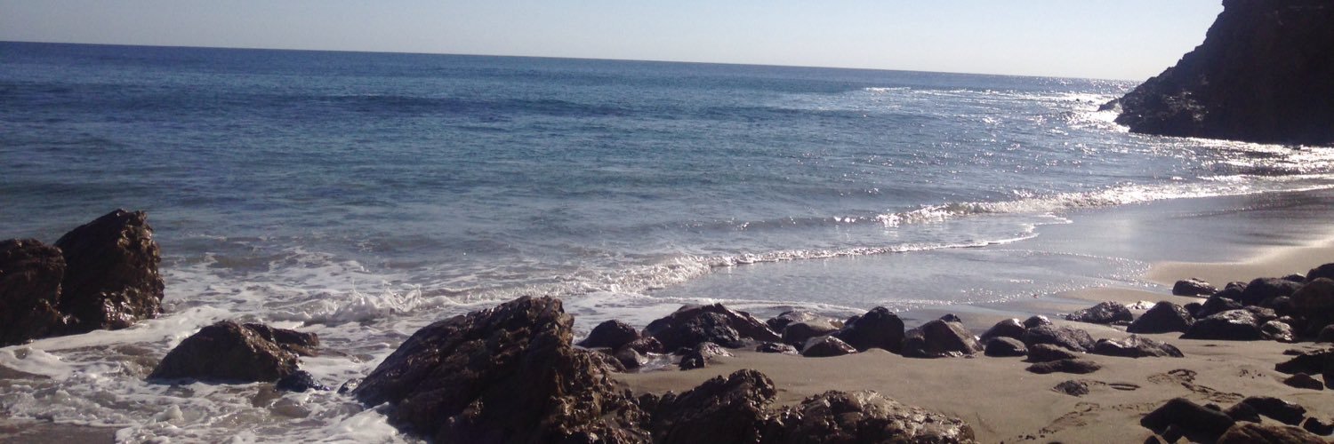 afox_tweets's profile banner image