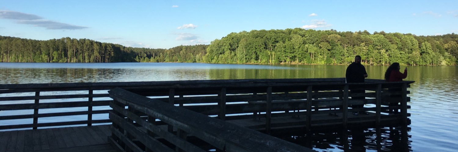 pineapplegyal's profile banner image