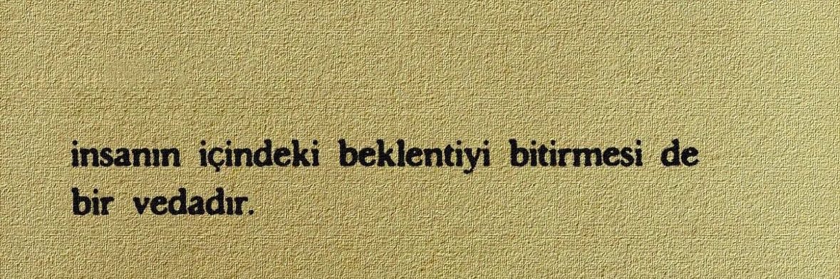 ozlem_eva's profile banner image