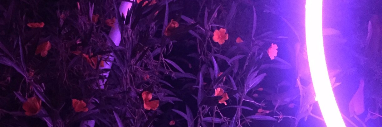 erinschulenberg's profile banner image