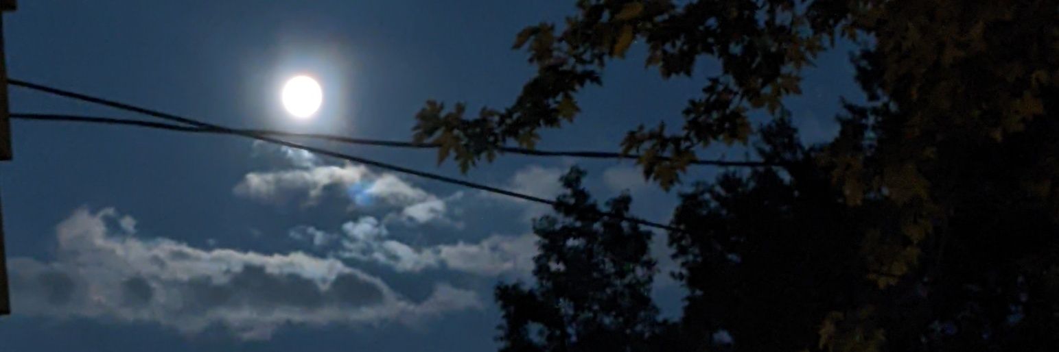 kat_565's profile banner image