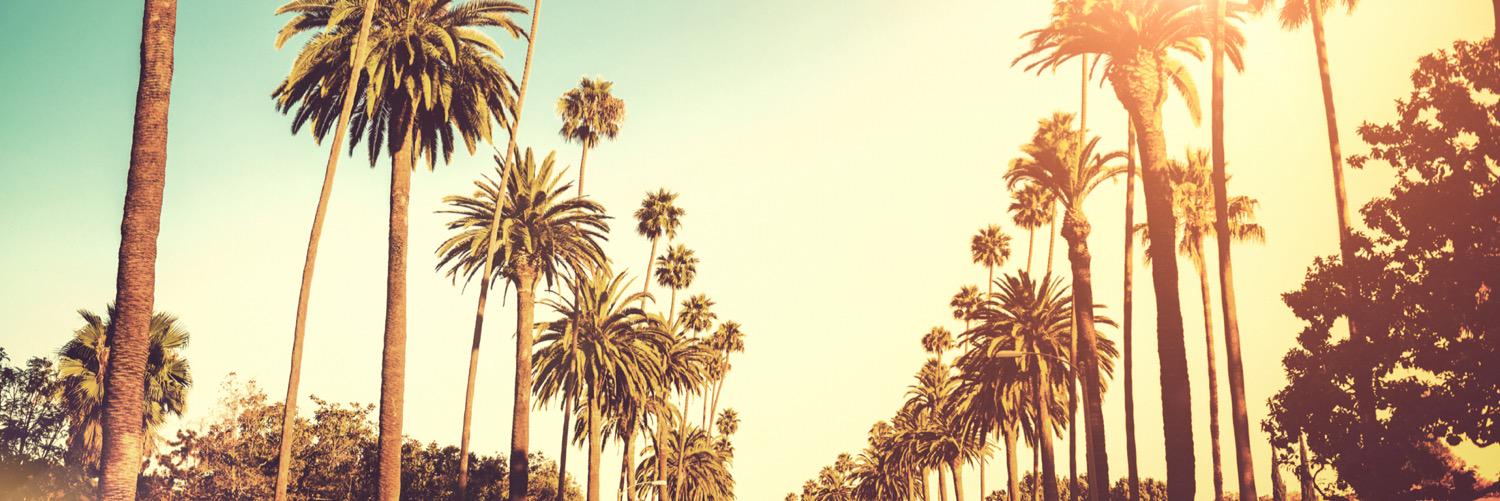 AaronTull86's profile banner image