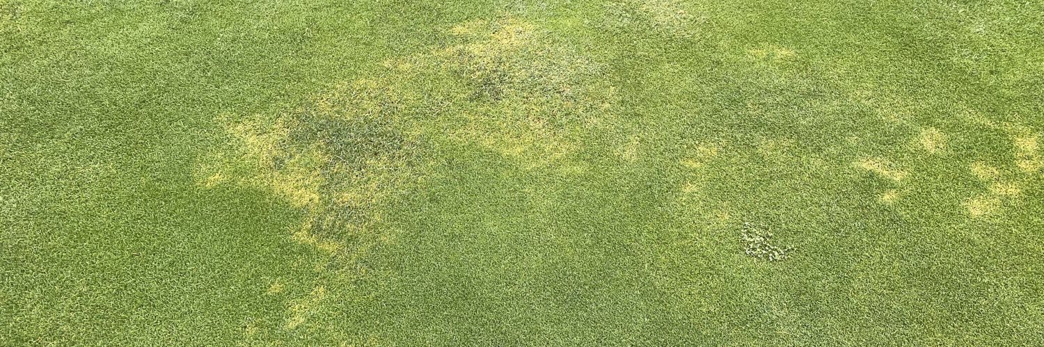 Penn State Turf Pests Diagnostic Lab banner