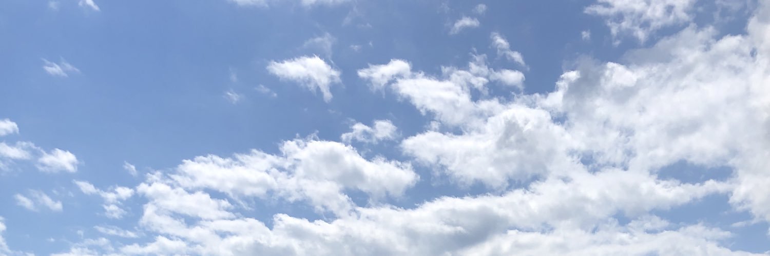 AngieSlemok's profile banner image