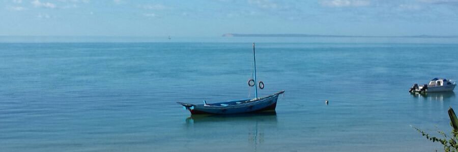 elong_NTD's profile banner image