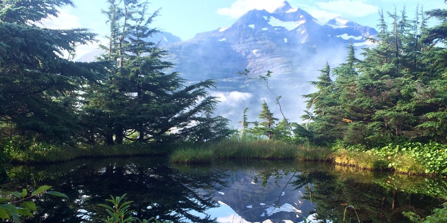 CaseyPlatt's profile banner image