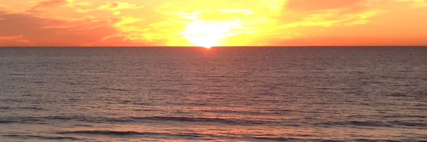 Cathie_amdg's profile banner image