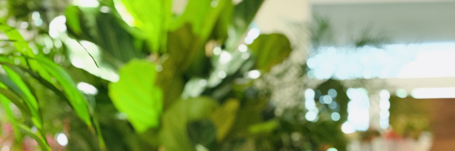 iprinceobinna's profile banner image