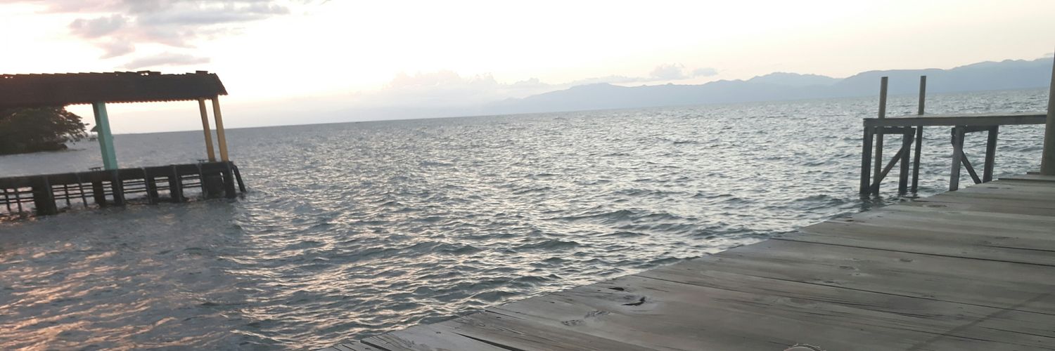 milthoncho's profile banner image