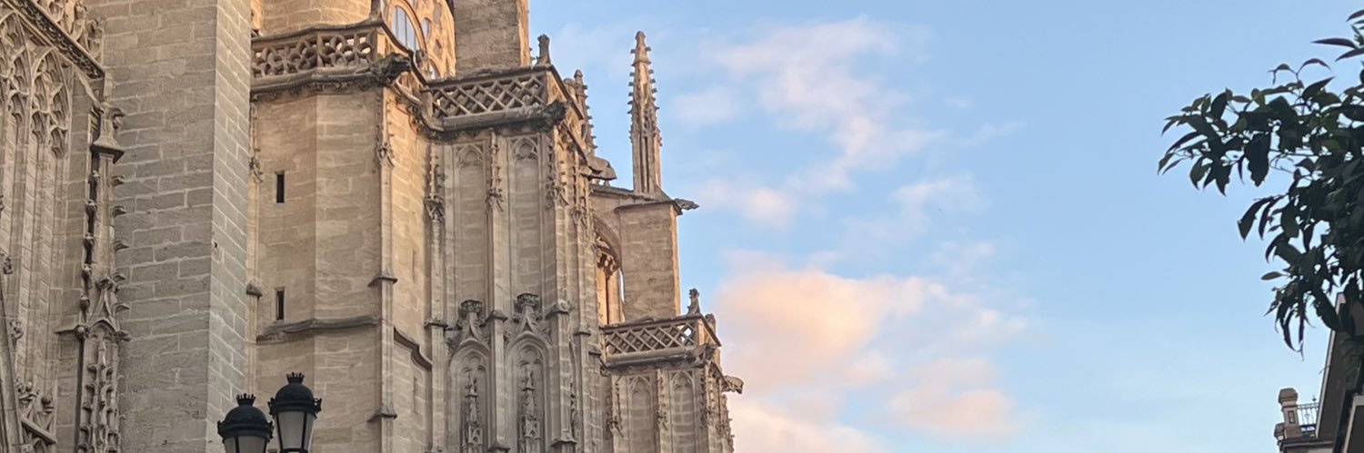 AnaferMarroquin's profile banner image