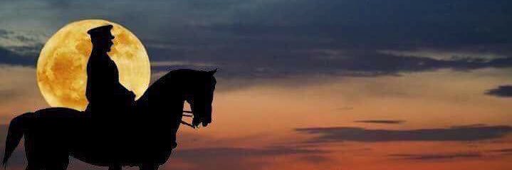 cesitlericeride's profile banner image