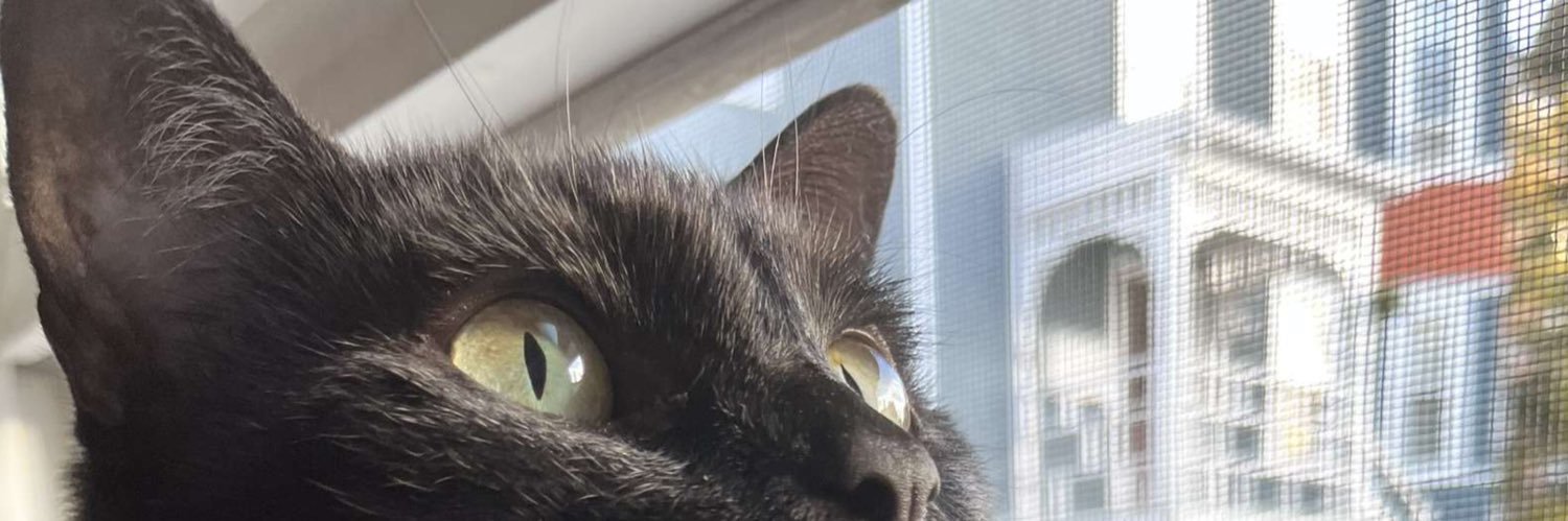 sydnxyy's profile banner image