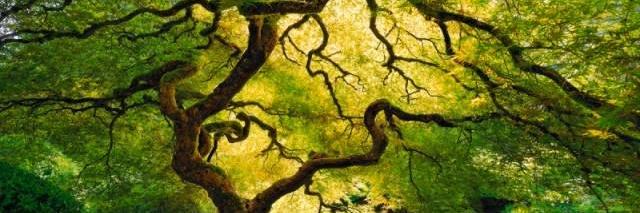 JimGrote's profile banner image