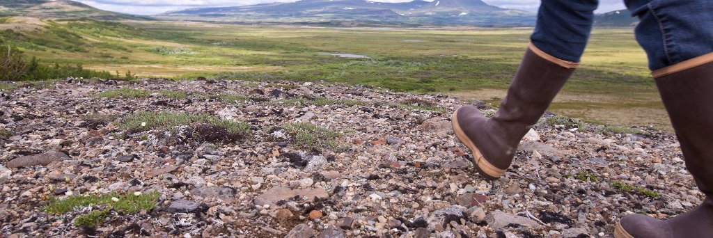 Pebble Project banner