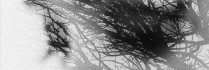 اشتقت لقطعة من قلبي (أبي )💔 banner