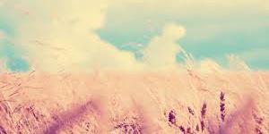 Campgoldbird2's profile banner image