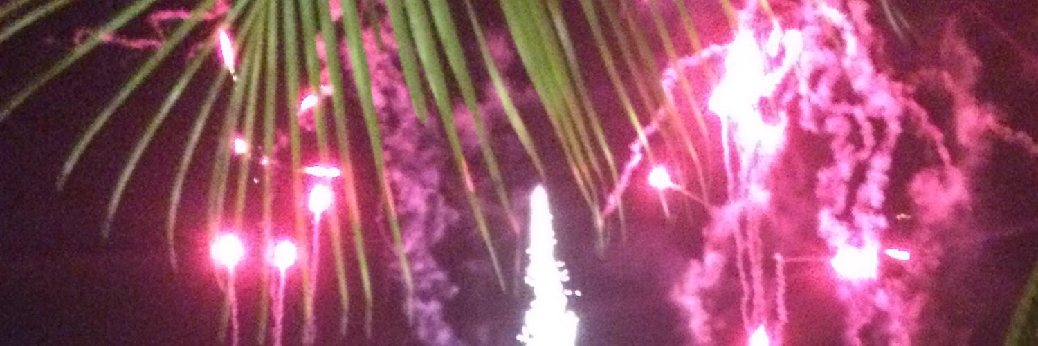 Alma Mollaghan banner