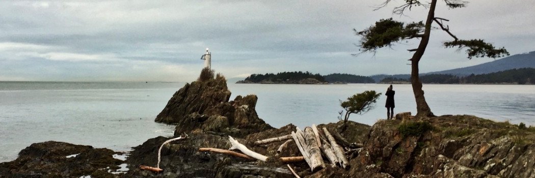 Kim McNeil | Canadian Writer banner