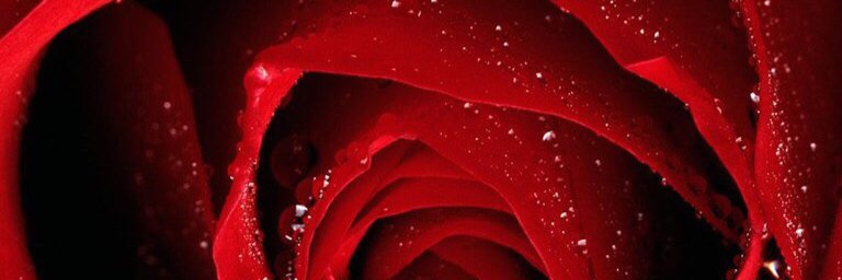 inderje5's profile banner image