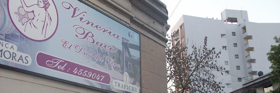 Vinería Baco banner