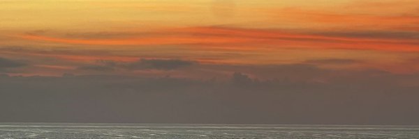 KittyTigerMeow Profile Banner
