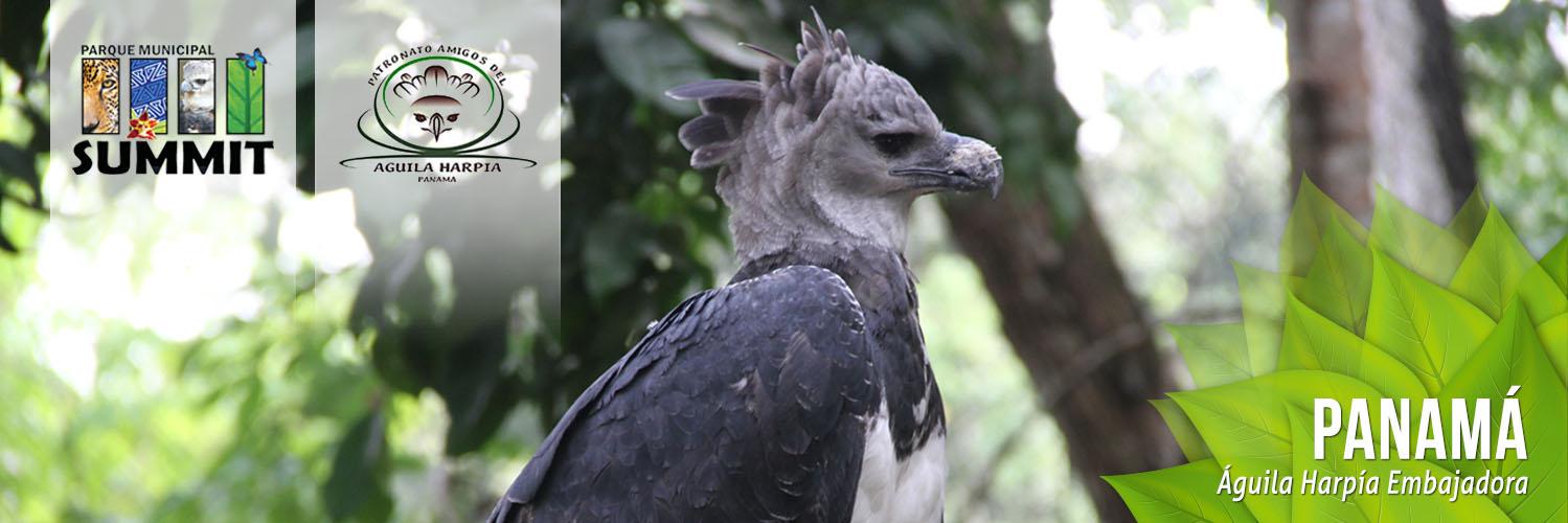 Parque Summit banner