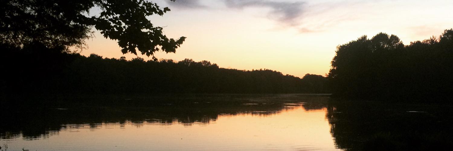 JNLinds's profile banner image
