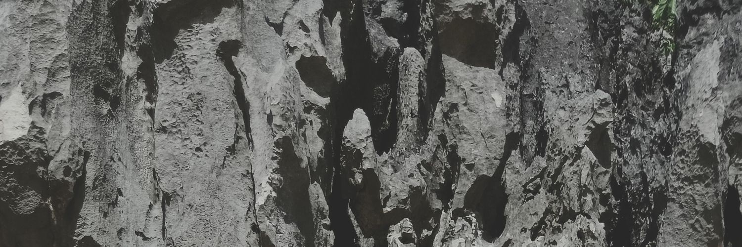alternaga1998's profile banner image