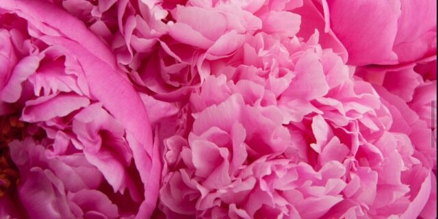 al_greenn's profile banner image