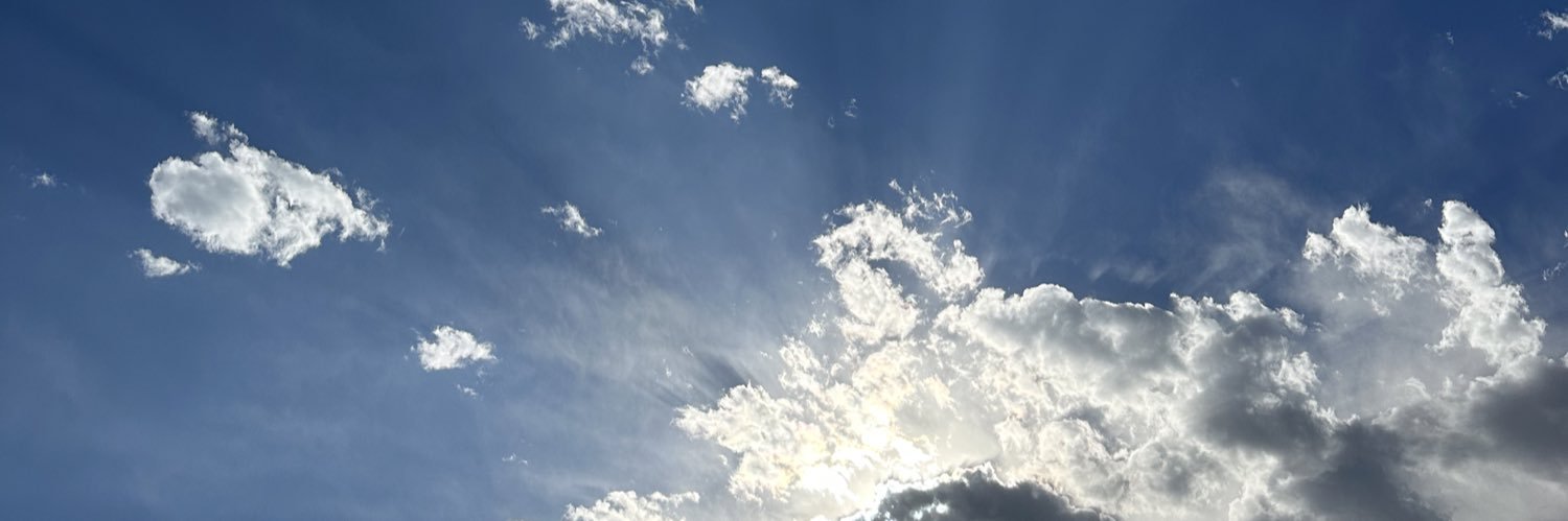 BREEtotheZ's profile banner image