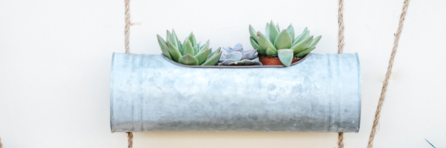 aripants's profile banner image