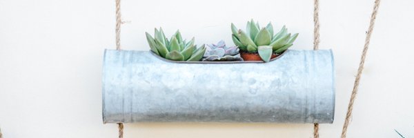 aripants Profile Banner