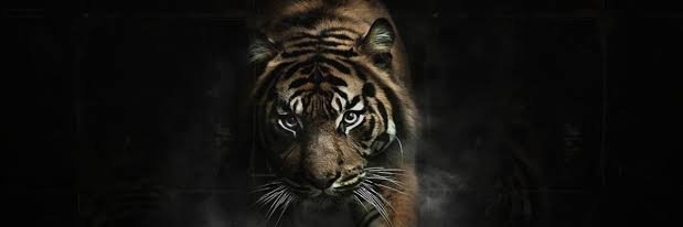 dipteshpatil93's profile banner image