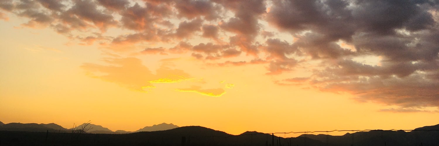 Anita🍒 banner