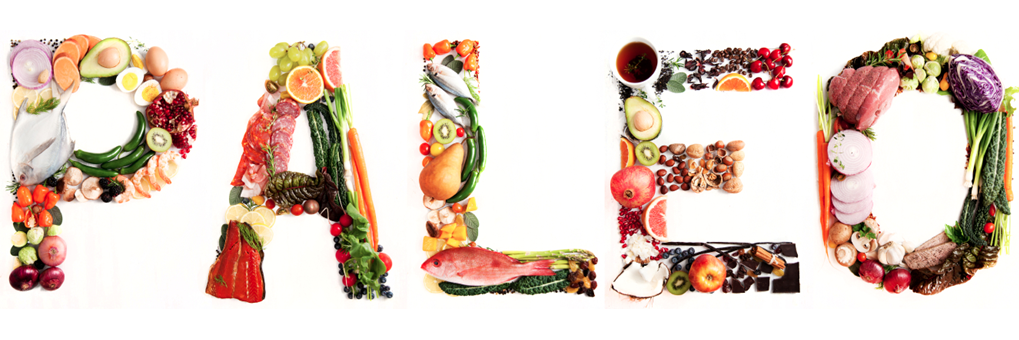 ThePaleoDebate's profile banner image