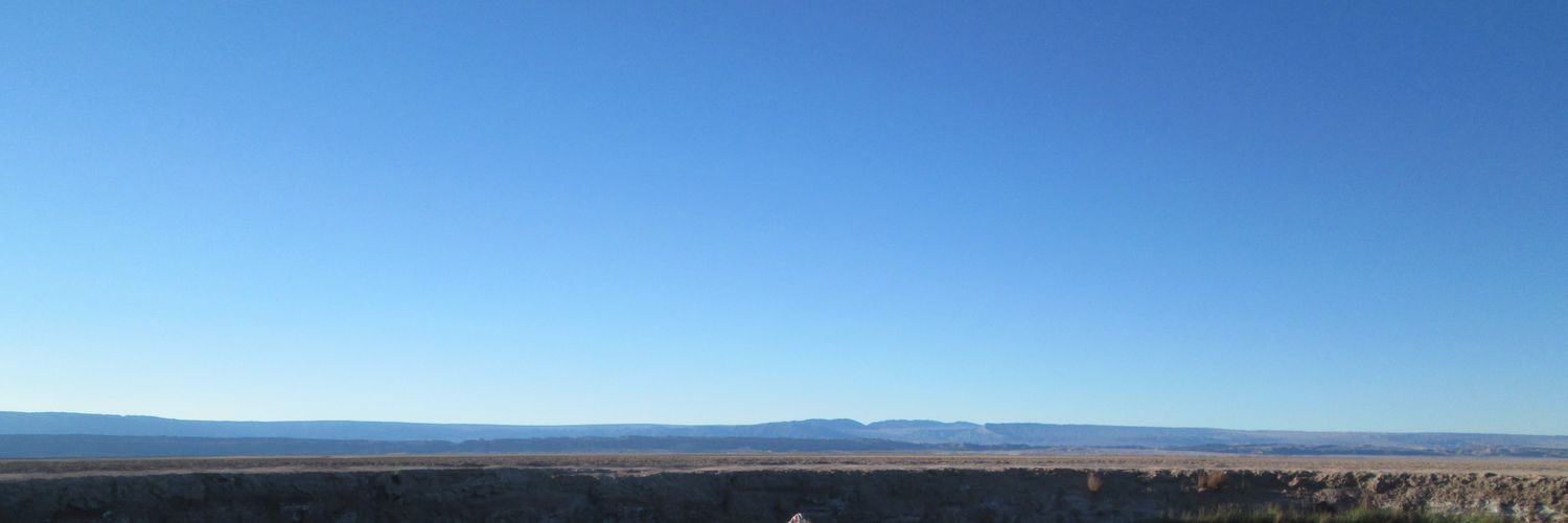 ViVejCo's profile banner image