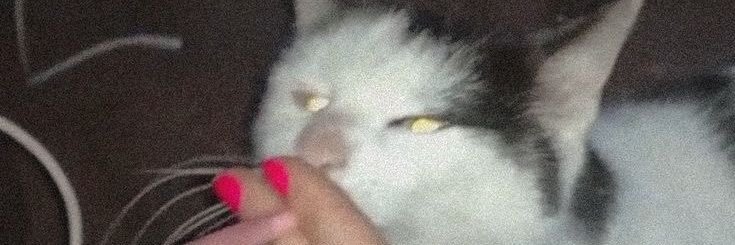 owmariaah's profile banner image