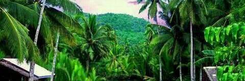 rizalibrahimok's profile banner image