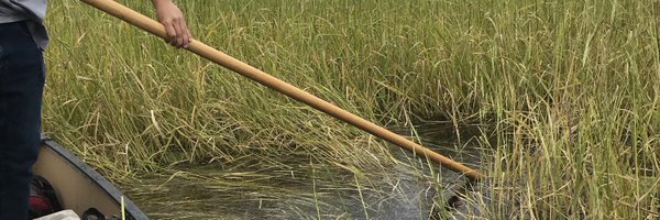 NativeWI Profile Banner