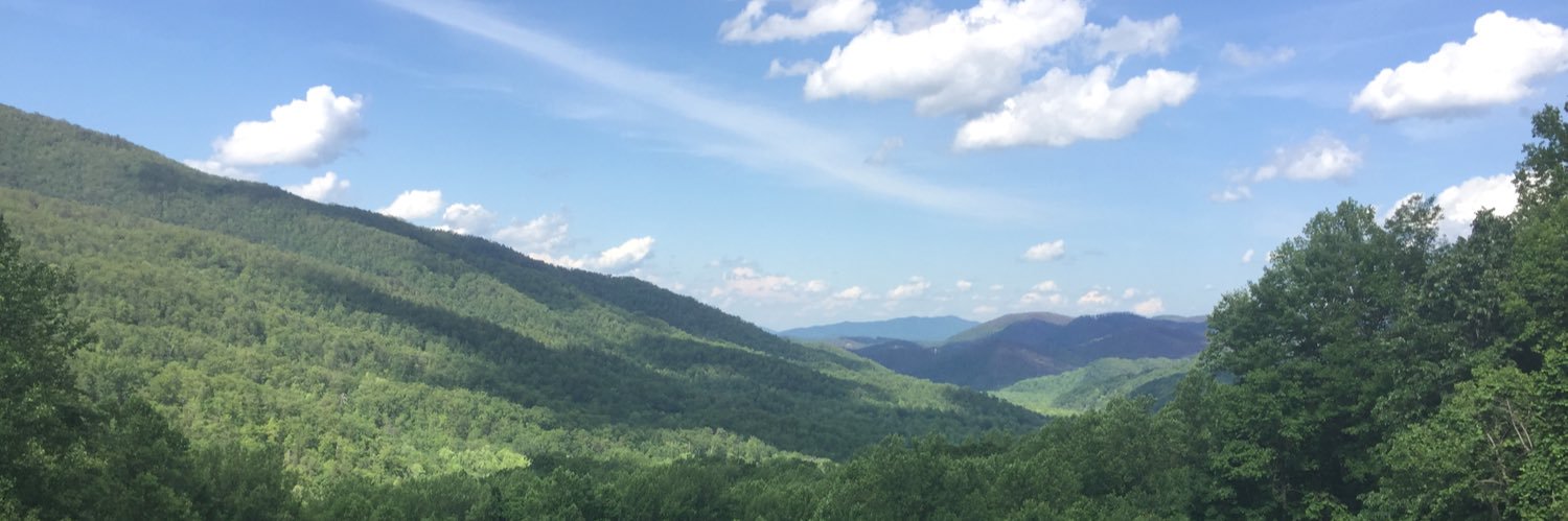 stephanierossi3's profile banner image
